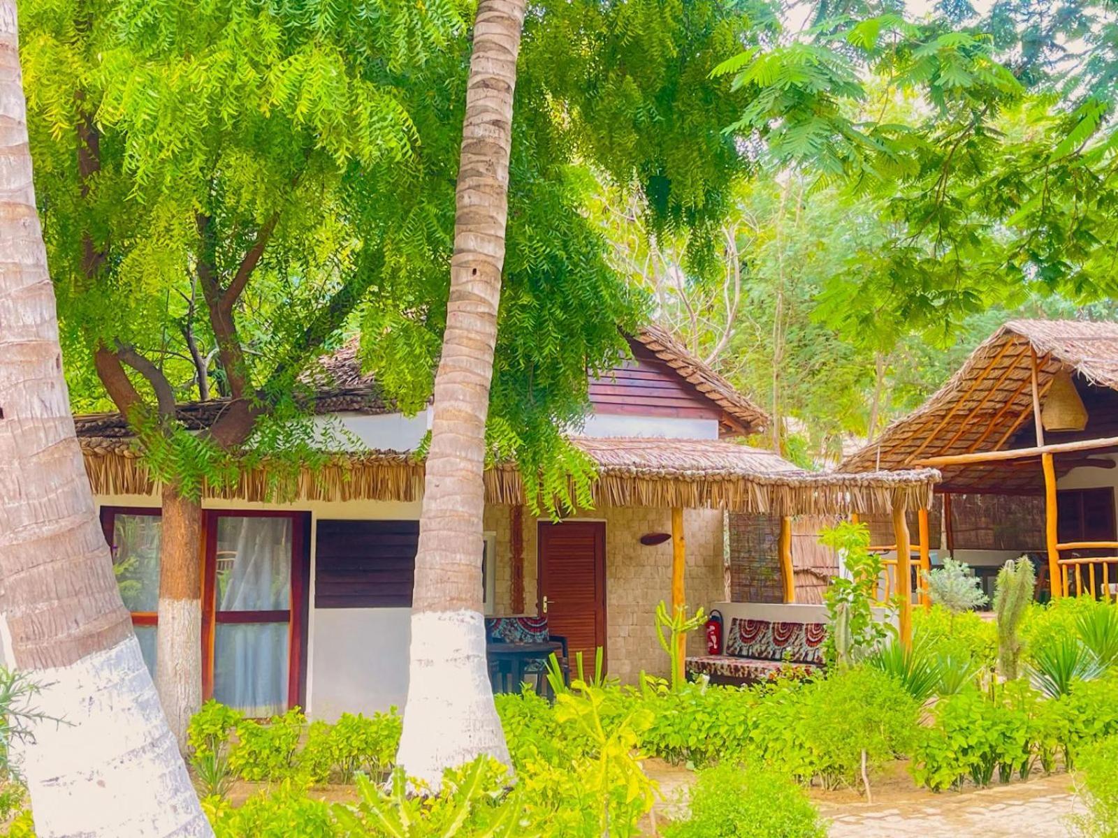 טוליארה Vovo Telo Lodge מראה חיצוני תמונה